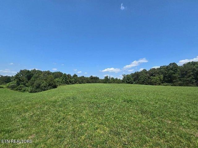 Land for sale in Robbins, East Tennessee