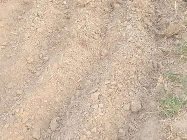 Land for sale in Sahiwal, Islamabad Capital Territory