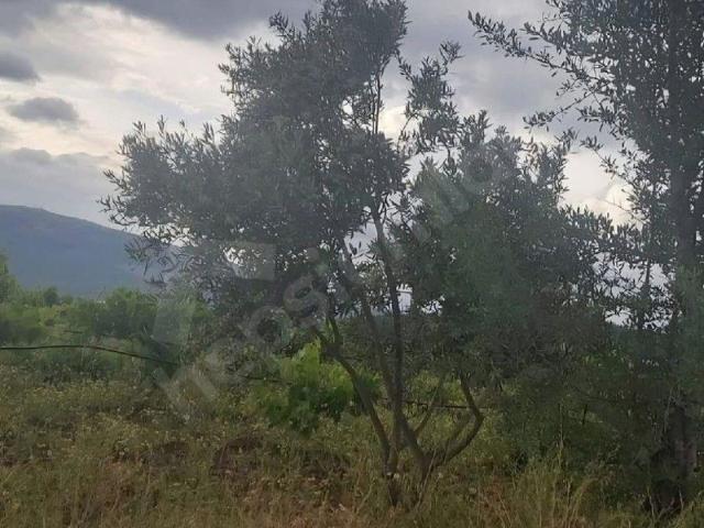 Karapınar, Çal içerisinde satılık Arsa