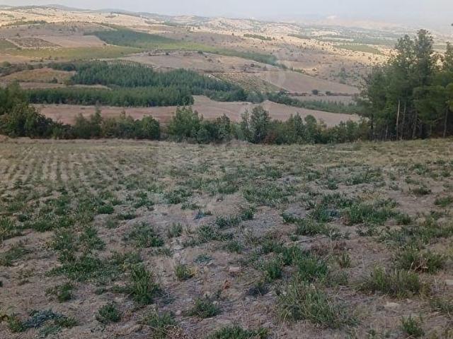 Çal, Denizli içerisinde satılık Arsa