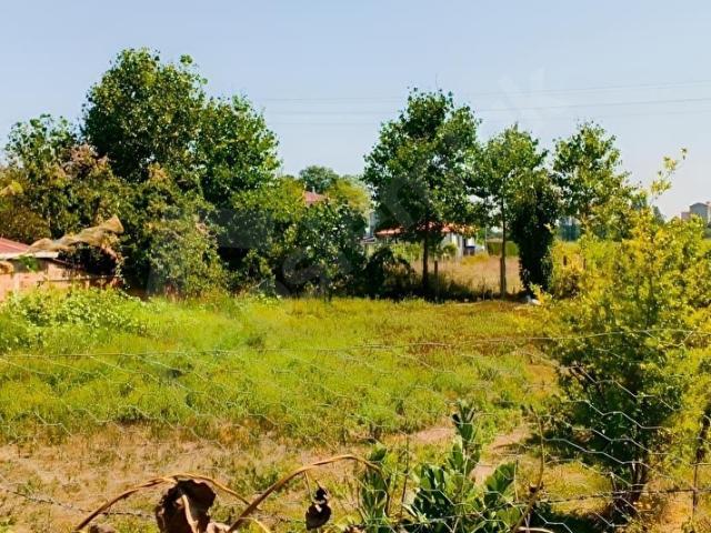 Alaçam, Samsun içerisinde satılık Arsa