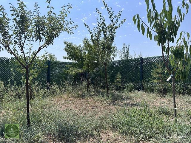 Polatli, Ankara içerisinde satılık Dükkan