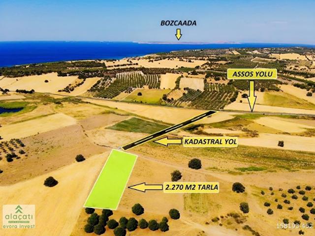 Ezine, Çanakkale içerisinde satılık Arsa