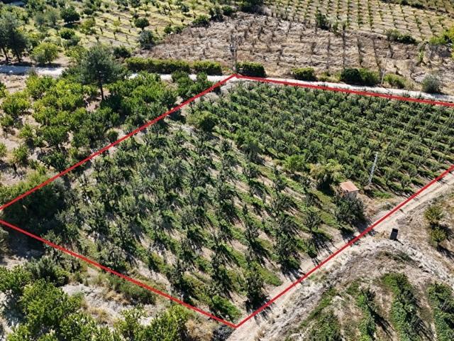 Korkuteli, Antalya içerisinde satılık Arsa