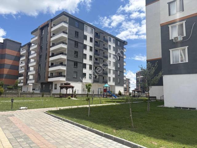 Batman Merkez, Batman içerisinde kiralık mülk