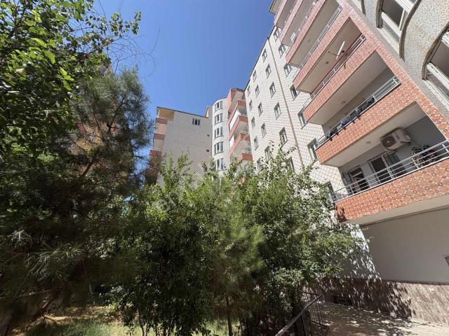 Batman Merkez, Batman içerisinde kiralık mülk