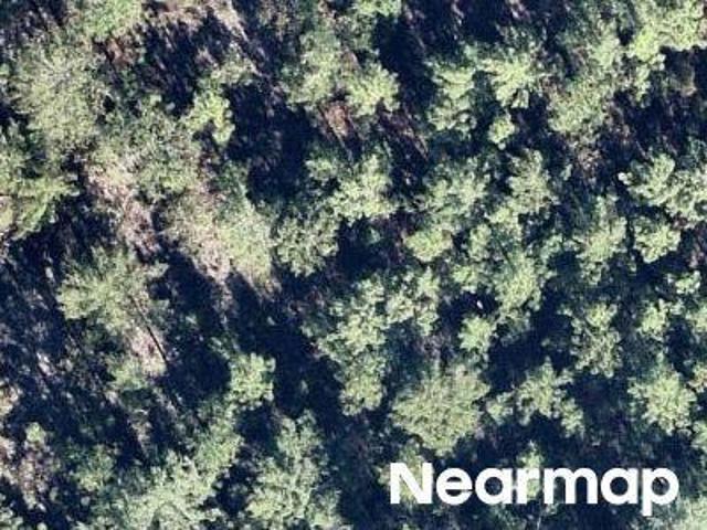 Land for sale in Hawthorne, Florida