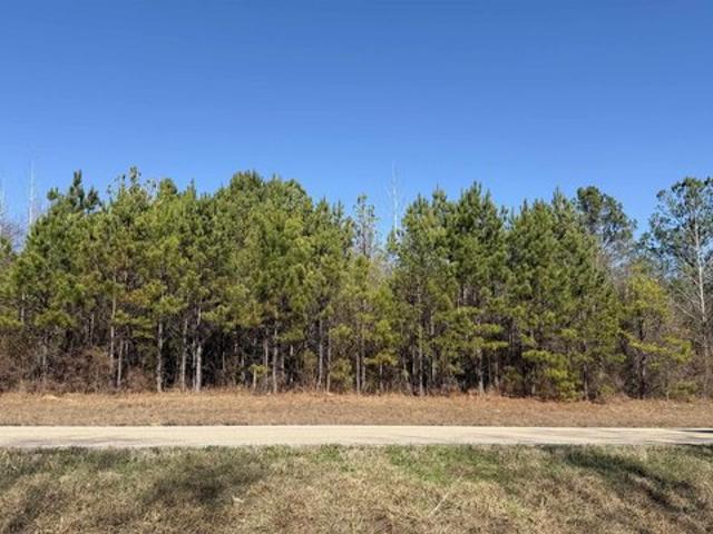 Land for sale in Beatrice, Alabama