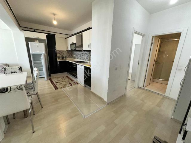 Atakum, Samsun içerisinde kiralık mülk