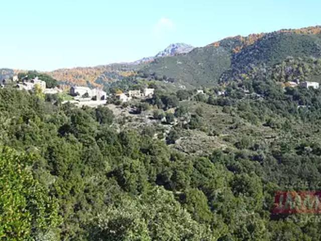 Appartement vente à Corte, Alando