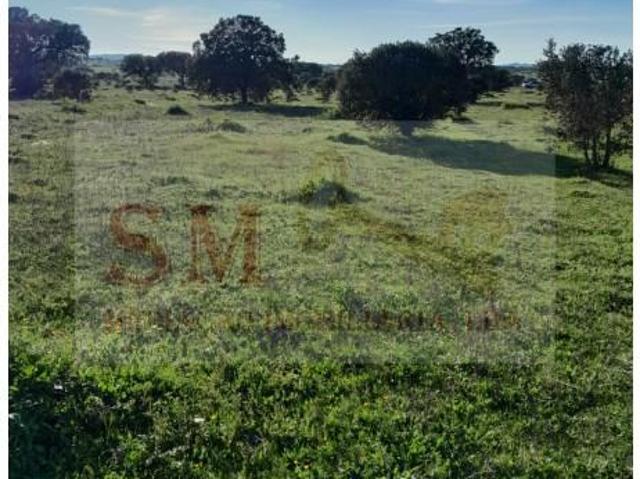 Terreno venda em Nossa Senhora Da Conceição, Évora