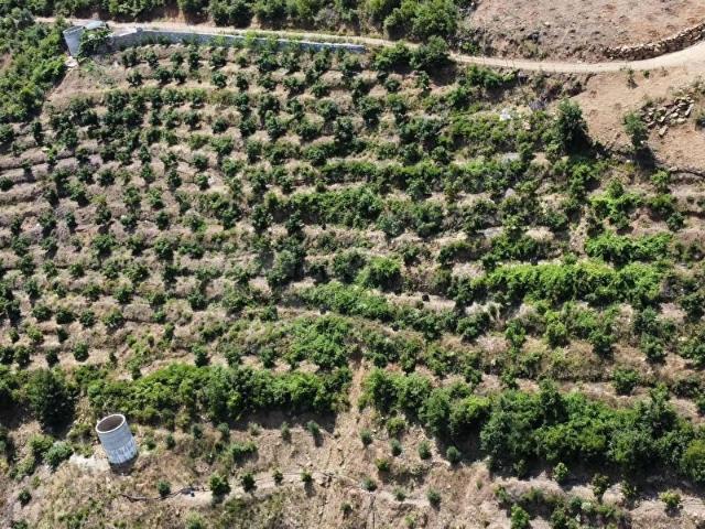 Alanya içerisinde satılık Arsa