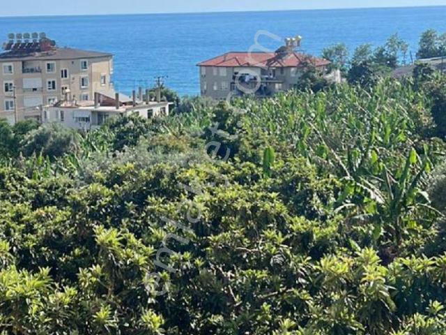 Alanya, Antalya içerisinde kiralık mülk