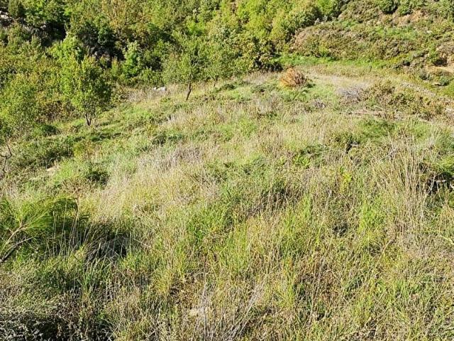 Kuzlatan, Alanya içerisinde satılık Arsa