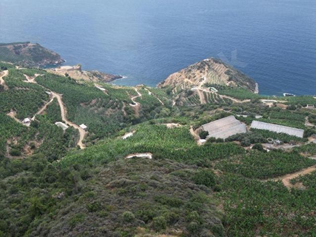 Gazipaşa, Antalya içerisinde satılık Arsa