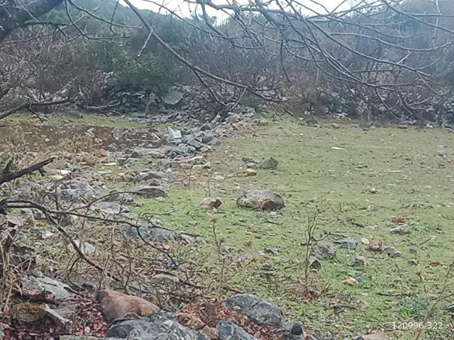 Alanya, Antalya içerisinde satılık Arsa