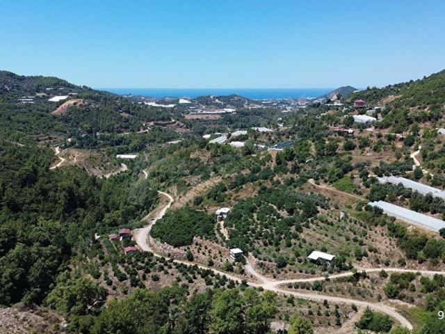 Hacıkerimler, Alanya içerisinde satılık Arsa