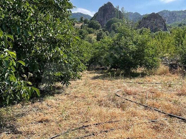 Alanya, Antalya içerisinde satılık Arsa