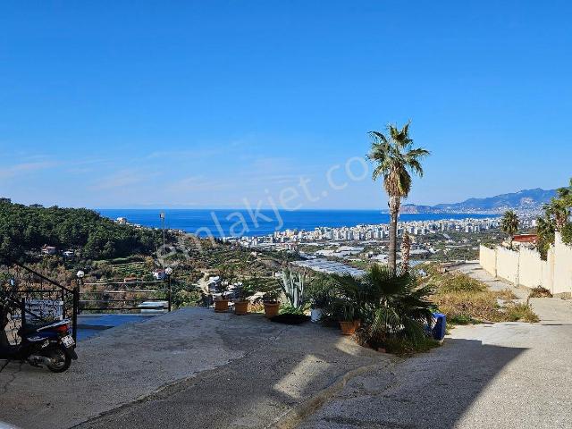 Alanya, Antalya içerisinde kiralık mülk
