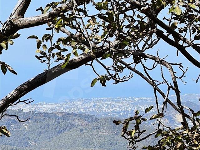Alanya, Antalya içerisinde satılık Arsa