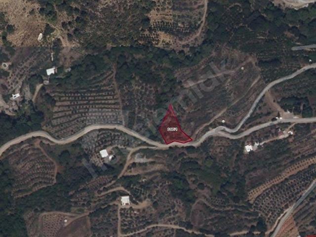 Alanya, Antalya içerisinde satılık Arsa