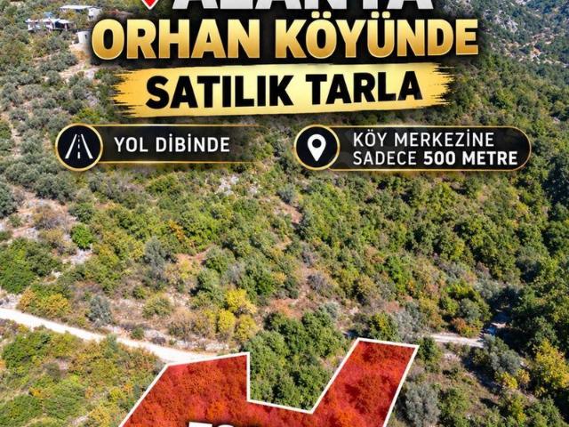 Aşağı, Alanya içerisinde satılık Arsa