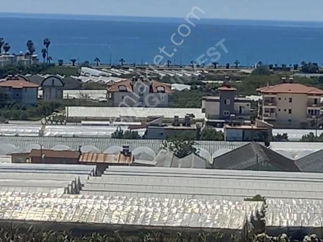 Alanya, Antalya içerisinde satılık mülk