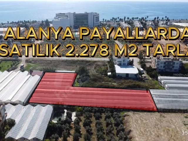 Büyükyer, Alanya içerisinde satılık Arsa