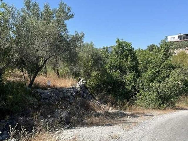 Saburlar, Alanya içerisinde satılık Arsa