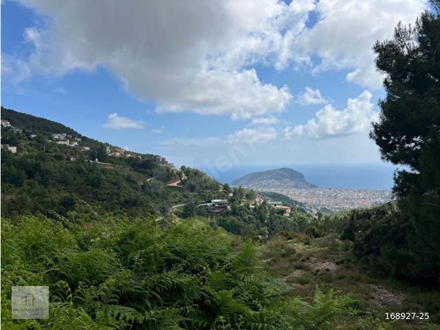 Alanya, Antalya içerisinde satılık Dükkan