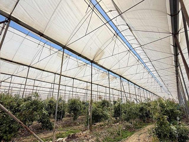 Alanya, Antalya içerisinde satılık Arsa
