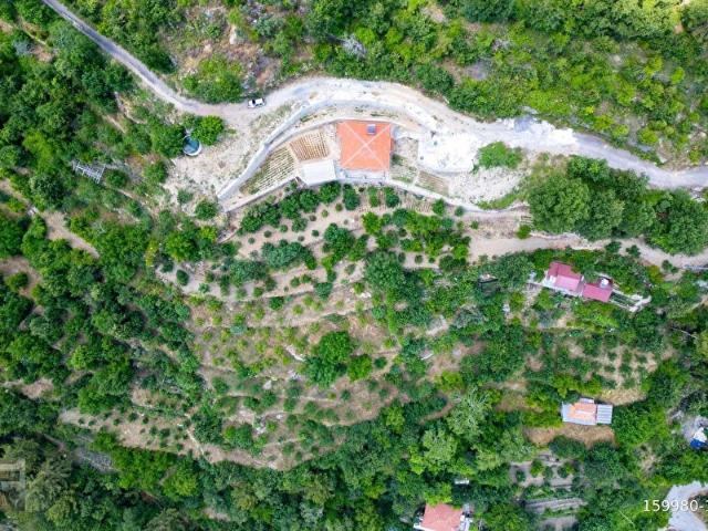 Alanya, Antalya içerisinde satılık mülk
