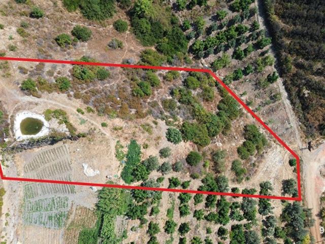 Yeniköy, Alanya içerisinde satılık Arsa