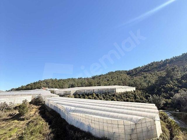 Alanya, Antalya içerisinde satılık Arsa