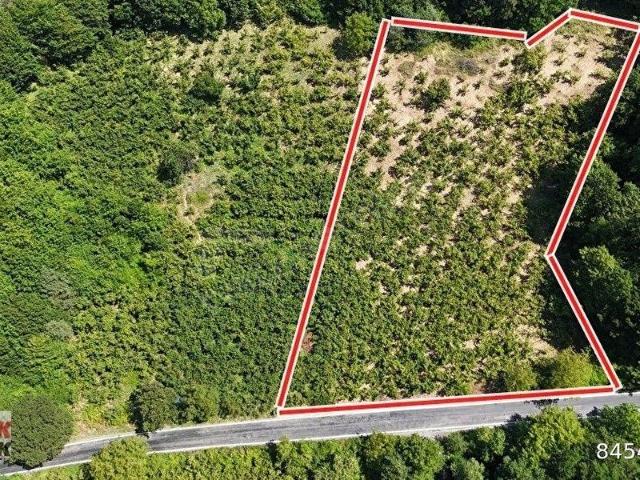 Alapli, Zonguldak içerisinde satılık Arsa