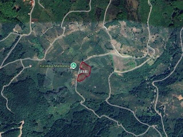 Alapli, Zonguldak içerisinde satılık Arsa