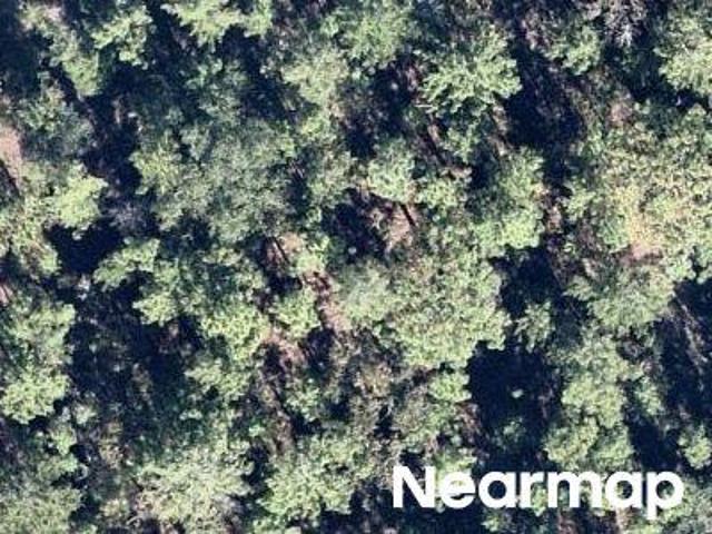 Land for sale in Hawthorne, Florida