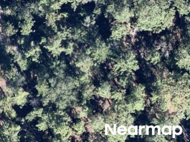 Land for sale in Hawthorne, Florida