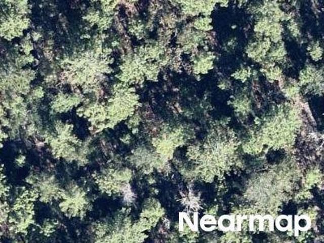 Land for sale in Hawthorne, Florida