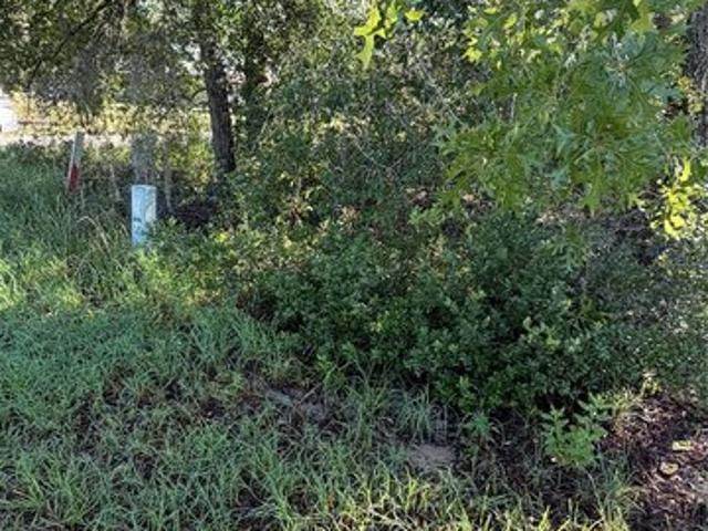Land for sale in Interlachen, Putnam County