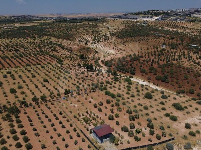 Şahinbey Mahallesi, Oğuzeli içerisinde satılık Arsa