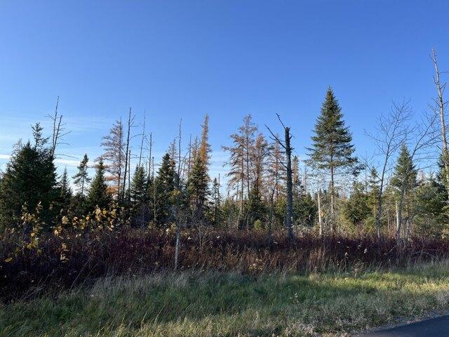 Land for sale in Caribou, Maine