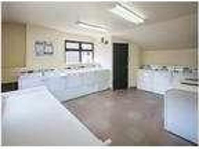 House for rent in Albany, Alameda County