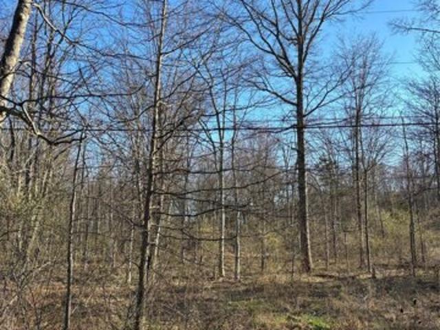 Land for sale in Gardiner, New York