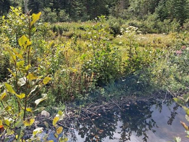 Land for sale in Eden, Vermont