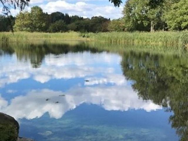 Property for sale in Berkshire, Massachusetts