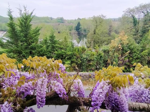 Maison vente à Cahors, Albas