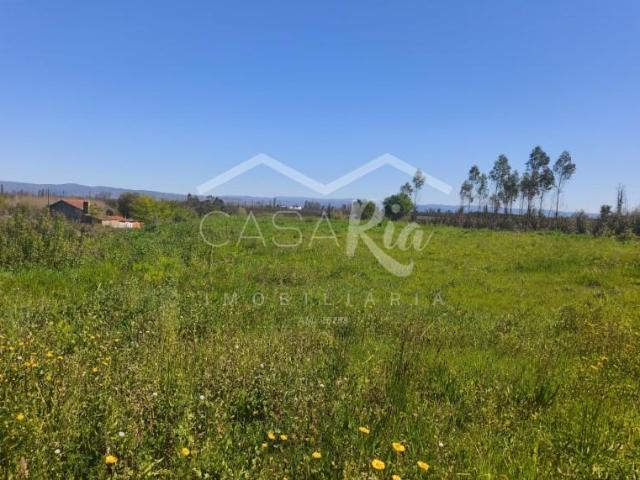 Terreno venda em Assilhó, Albergaria-a-velha
