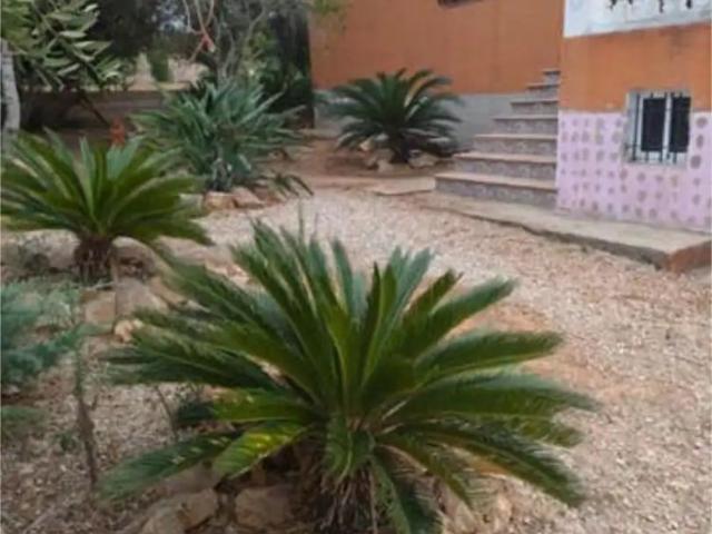 Apartamento en alquiler en la Ribera Alta, Valencia