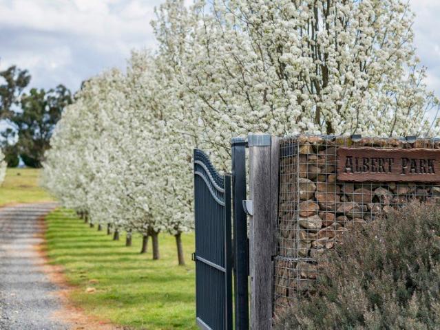 House for sale in Bungonia, Goulburn Mulwaree Council